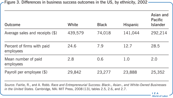 Differences in business success outcomes
                        in the US, by ethnicity, 2002