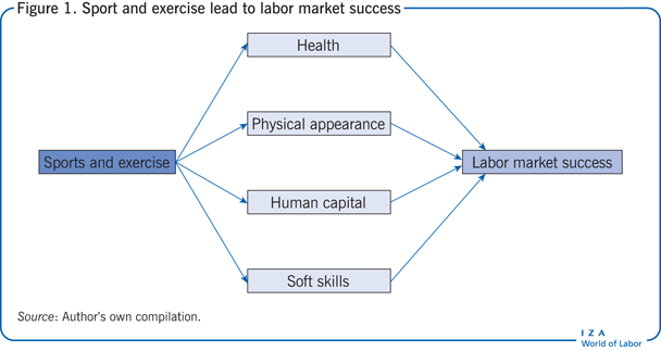 Sport and exercise lead to labor market
                        success