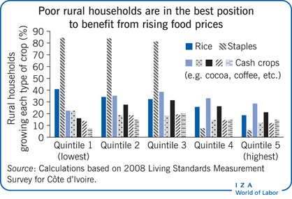 Poor rural households are in the best
                        position to benefit from rising food prices