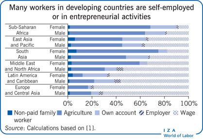 Many workers in developing countries are
                        self-employed or in entrepreneurial activities