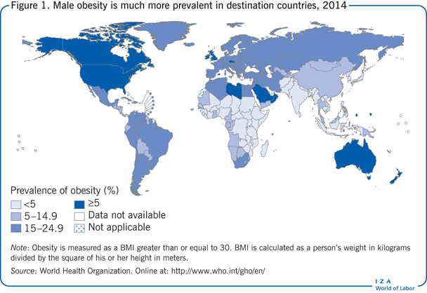 Male obesity is much more prevalent in
                        destination countries, 2014