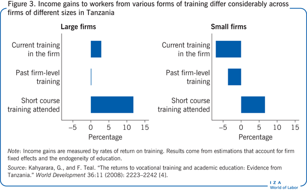 Income gains to workers from various forms of training
      differ considerably across firms of different sizes in Tanzania