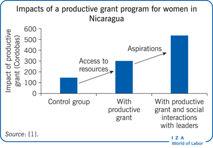 Impacts of a productive grant program for women in
              Nicaragua