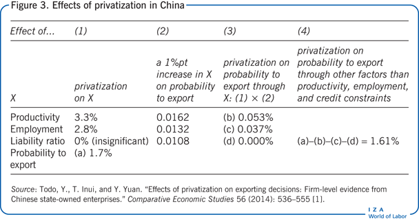 Effects of privatization in China