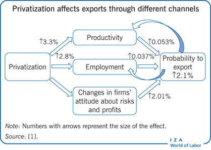 Privatization affects exports through different
              channels