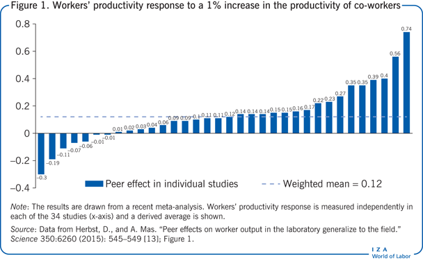 Workers’ productivity response to a 1% increase in
            the productivity of co-workers