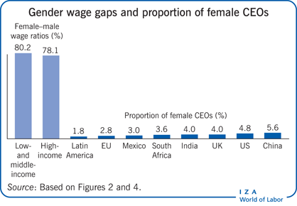 Gender wage gaps and proportion of female
                        CEOs