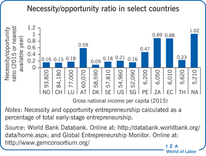 Necessity/opportunity ratio in select
                        countries