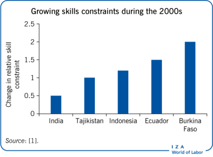 Growing skills constraints during the
                            2000s