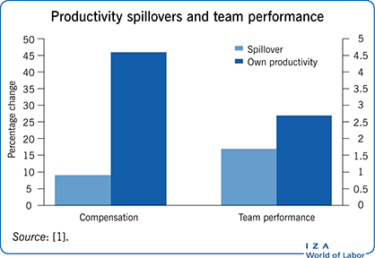 Productivity spillovers and team
                            performance