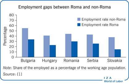 Employment gaps between Roma and
                        non-Roma