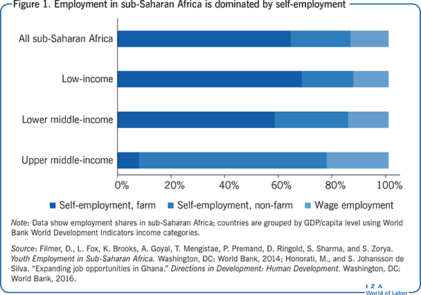 Employment in sub-Saharan Africa is
                        dominated by self-employment
