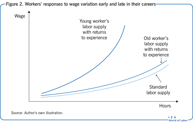 Workers’ responses to wage variation early
                        and late in their careers