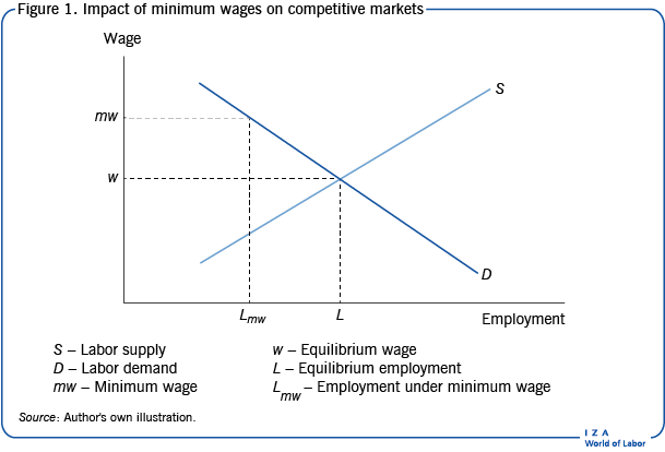 Impact of minimum wages on competitive
                        markets