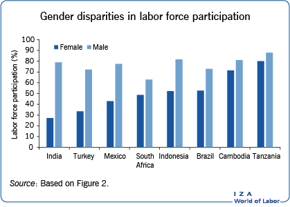 Gender disparities in labor force
                        participation