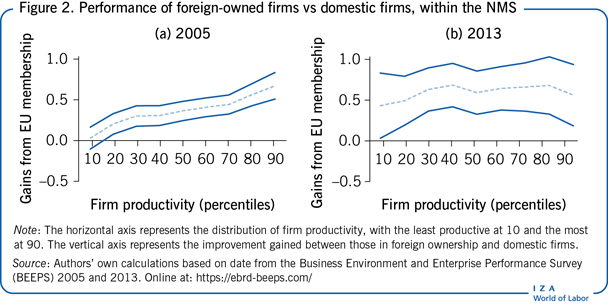 Performance of foreign-owned firms vs domestic firms, within the NMS