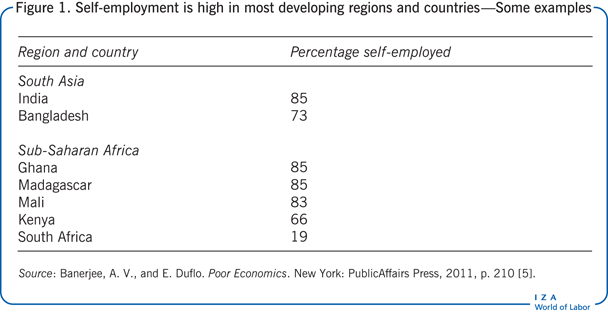 Self-employment is high in most developing
                        regions and countries—Some examples