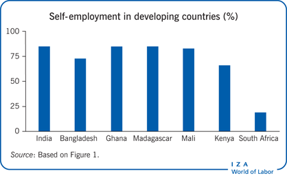 Creating jobs in developing countries