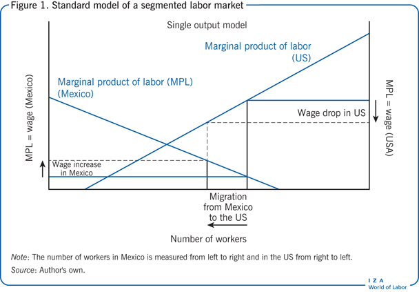 Standard model of a segmented labor
                        market