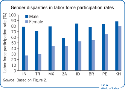 Gender disparities in labor force
                        participation rates