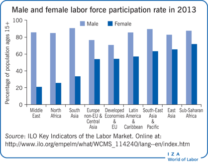 Male and female labor force participation
                        rate in 2013