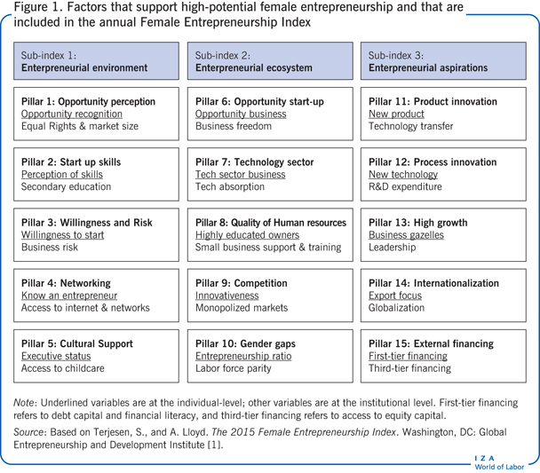 Factors that support high-potential female
                        entrepreneurship and that are included in the annual Female Entrepreneurship
                            Index