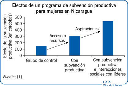 Efectos de un programa de subvención productiva para mujeres en Nicaragua