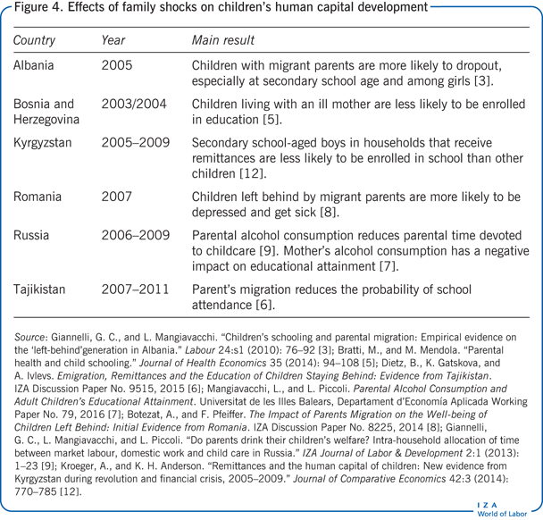 Effects of family shocks on children’s
                        human capital development