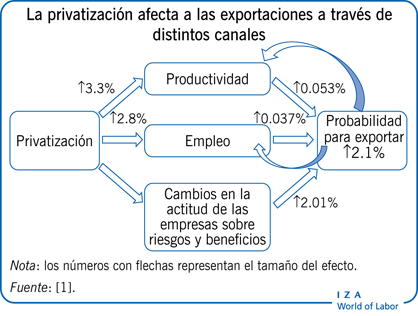 La privatización afecta a las exportaciones a través de distintos canales