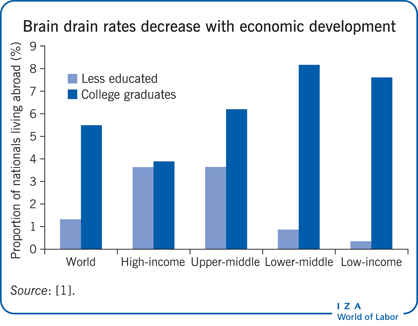 causes and effects of brain drain essay