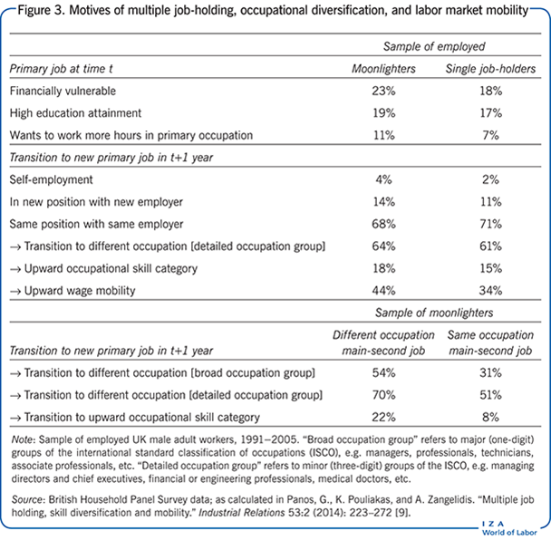 Motives of multiple job-holding,
						occupational diversification, and labor market mobility