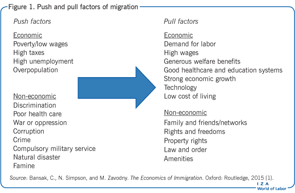 Pros and cons immigration