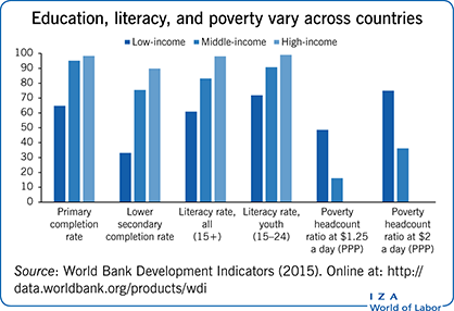 Iza World Of Labor Adult Literacy Programs In Developing Countries