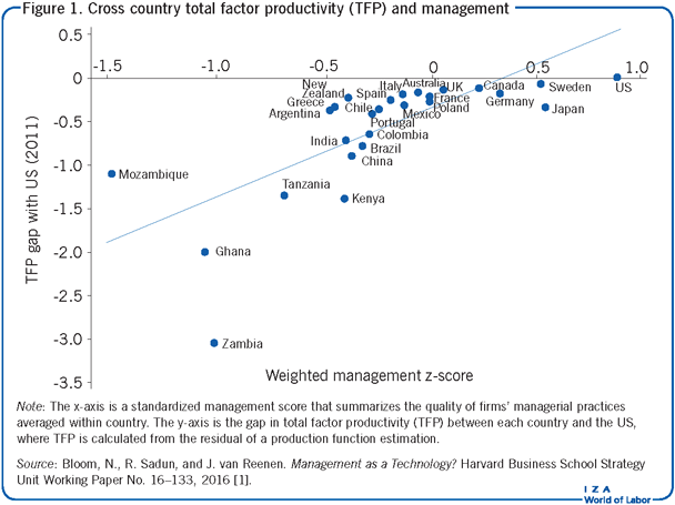 Cross country total factor productivity
                        (TFP) and management