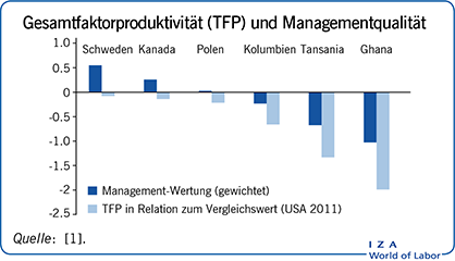 Gesamtfaktorproduktivität (TFP) und
                            Managementqualität