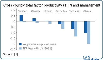 Cross country total factor productivity
                        (TFP) and management