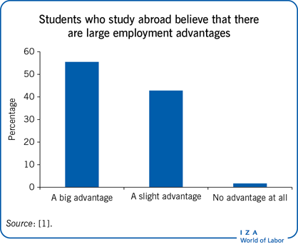 What Are the Advantages and Disadvantages of Studying Abroad?