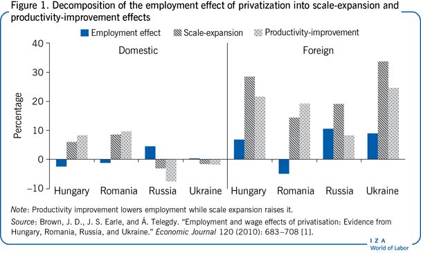 Decomposition of the employment effect
                        of privatization into scale-expansion and productivity-improvement
                        effects