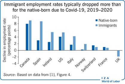 Immigrant employment rates typically
                        dropped more than for the native-born due to Covid-19, 2019–2020