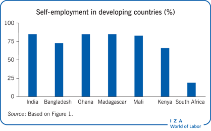 Self-employment in developing countries
                        (%)