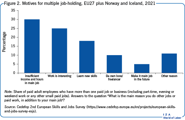 Motives for multiple job-holding, EU27 plus Norway and Iceland, 2021