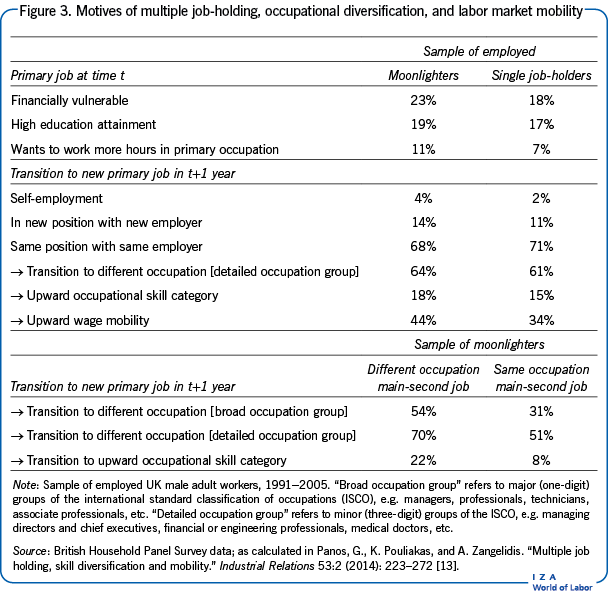 Motives of multiple job-holding, occupational diversification, and labor market mobility
