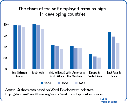 The share of the self employed in entrepreneurial activities remains high in developing countries