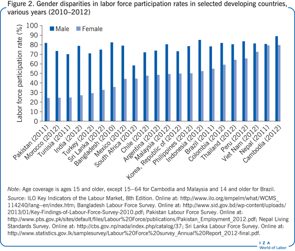 Gender disparities in labor force
                        participation rates in selected developing countries, various years
                        (2010−2012)