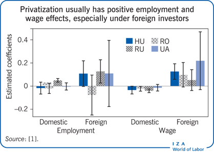 Privatization usually has positive
                        employment and wage effects, especially under foreign investors