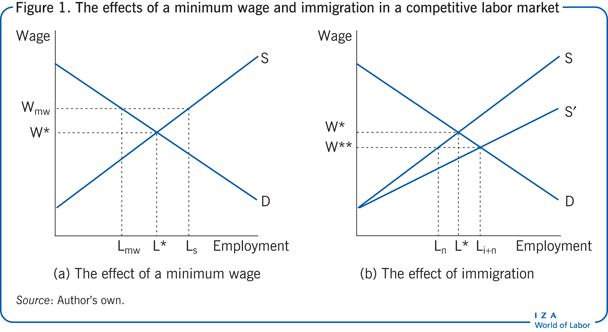 The effects of a minimum wage and
                        immigration in a competitive labor market