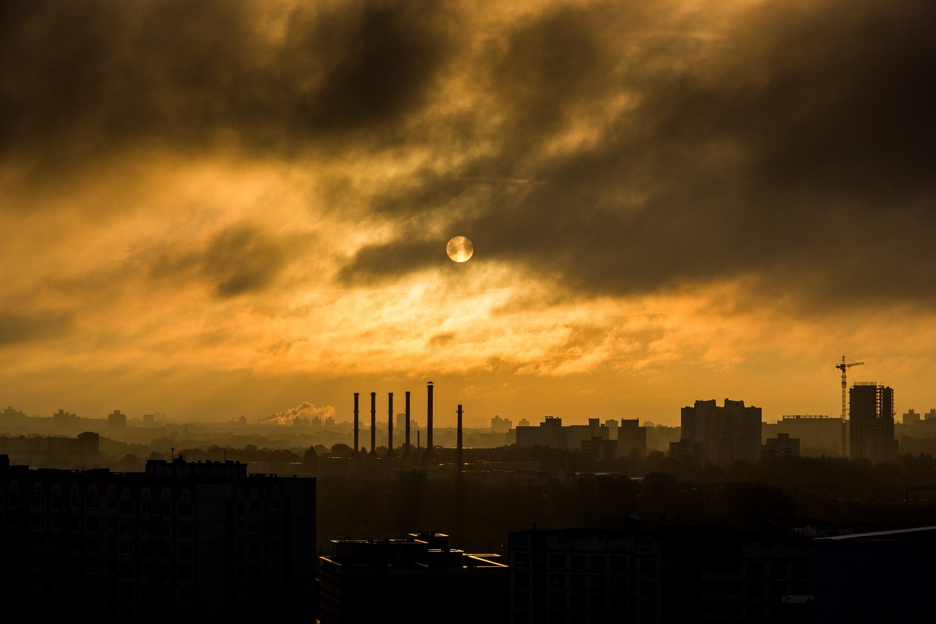 Air pollution in Sydney has risen 11 times above “hazardous” levels due to thick bushfire smoke