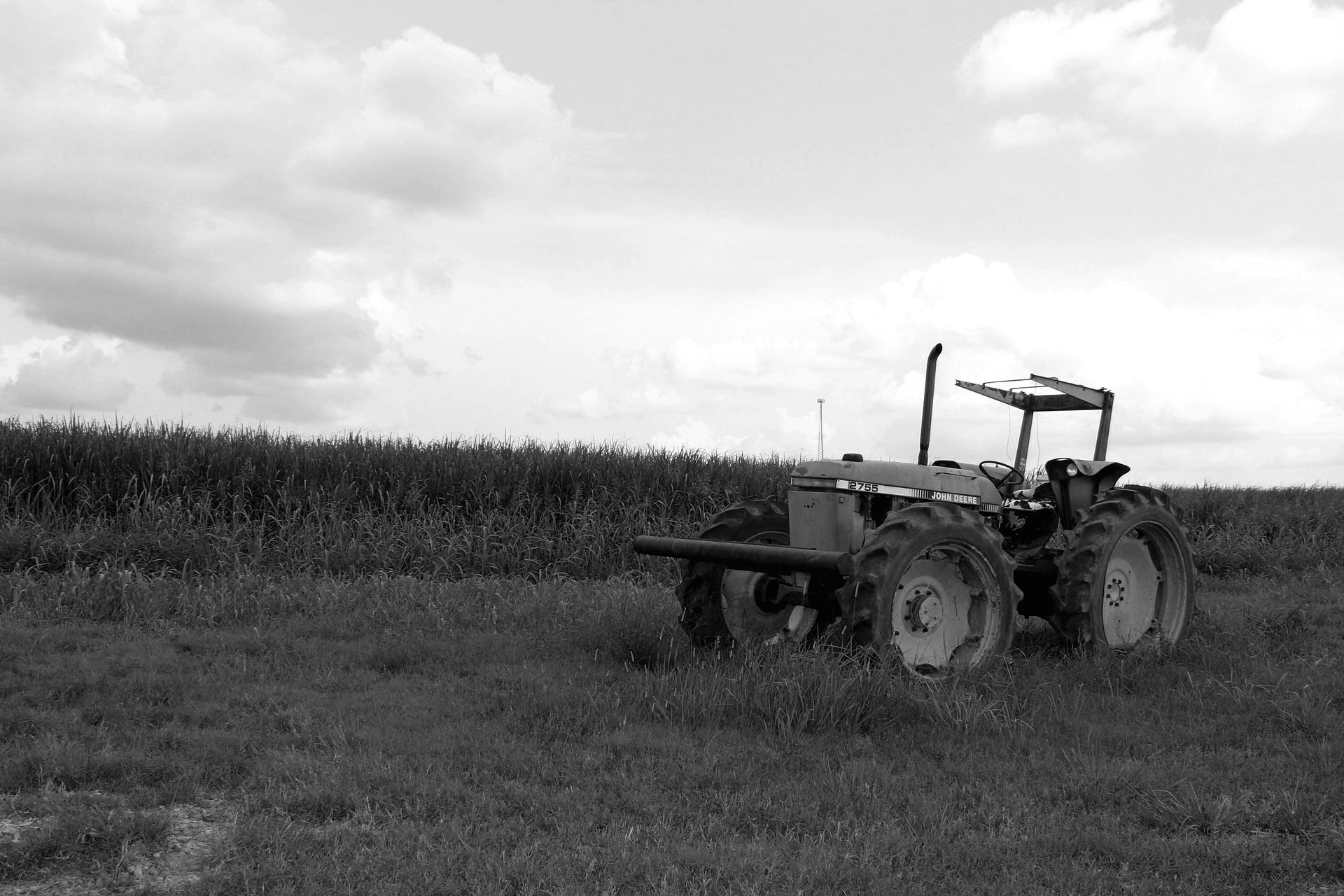 Mental health issues affecting farmers in Northern Ireland