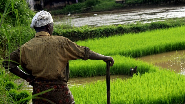 India’s former finance minister defends a national minimum income scheme