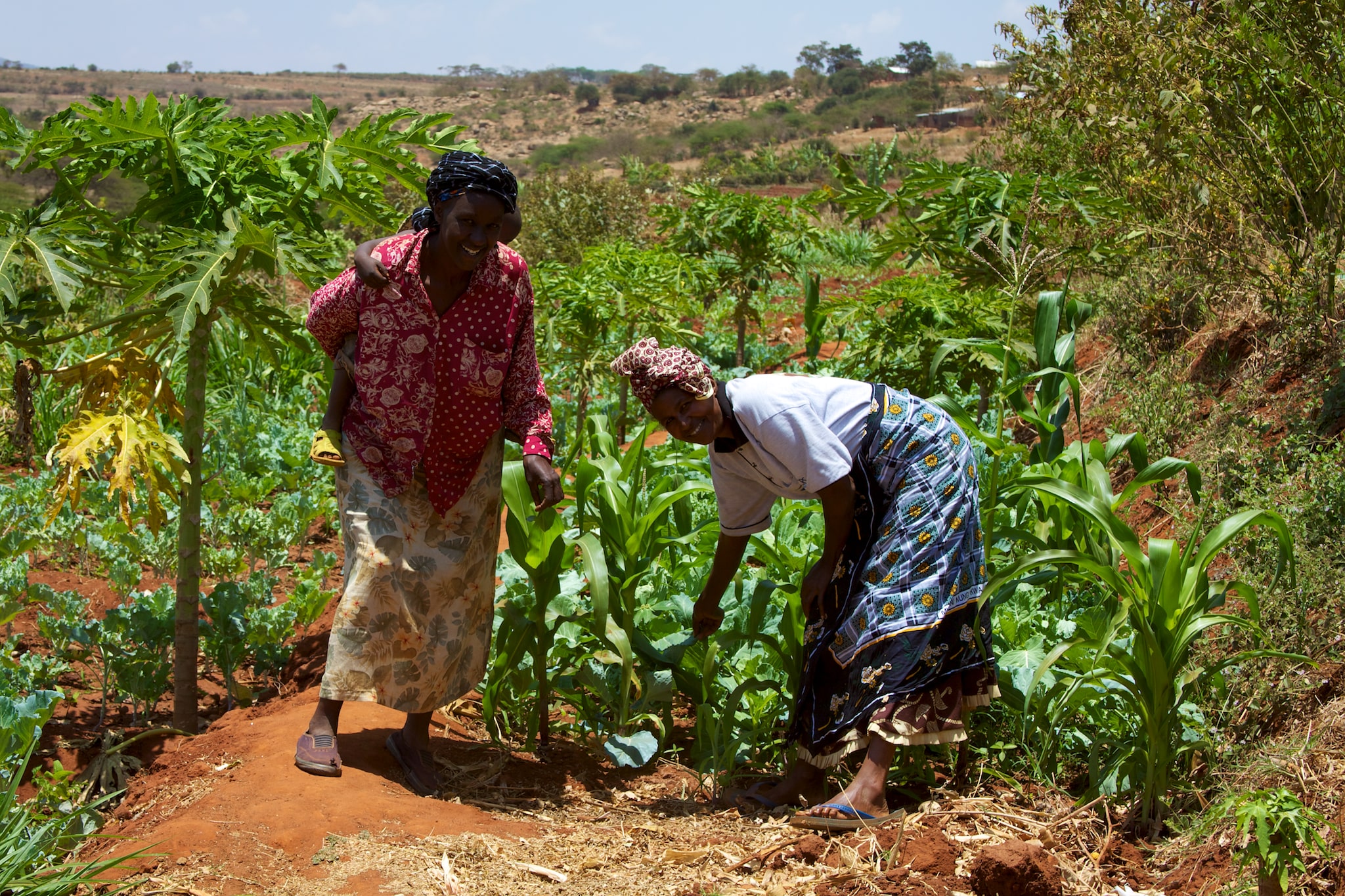 South Africa sets first ever minimum wage